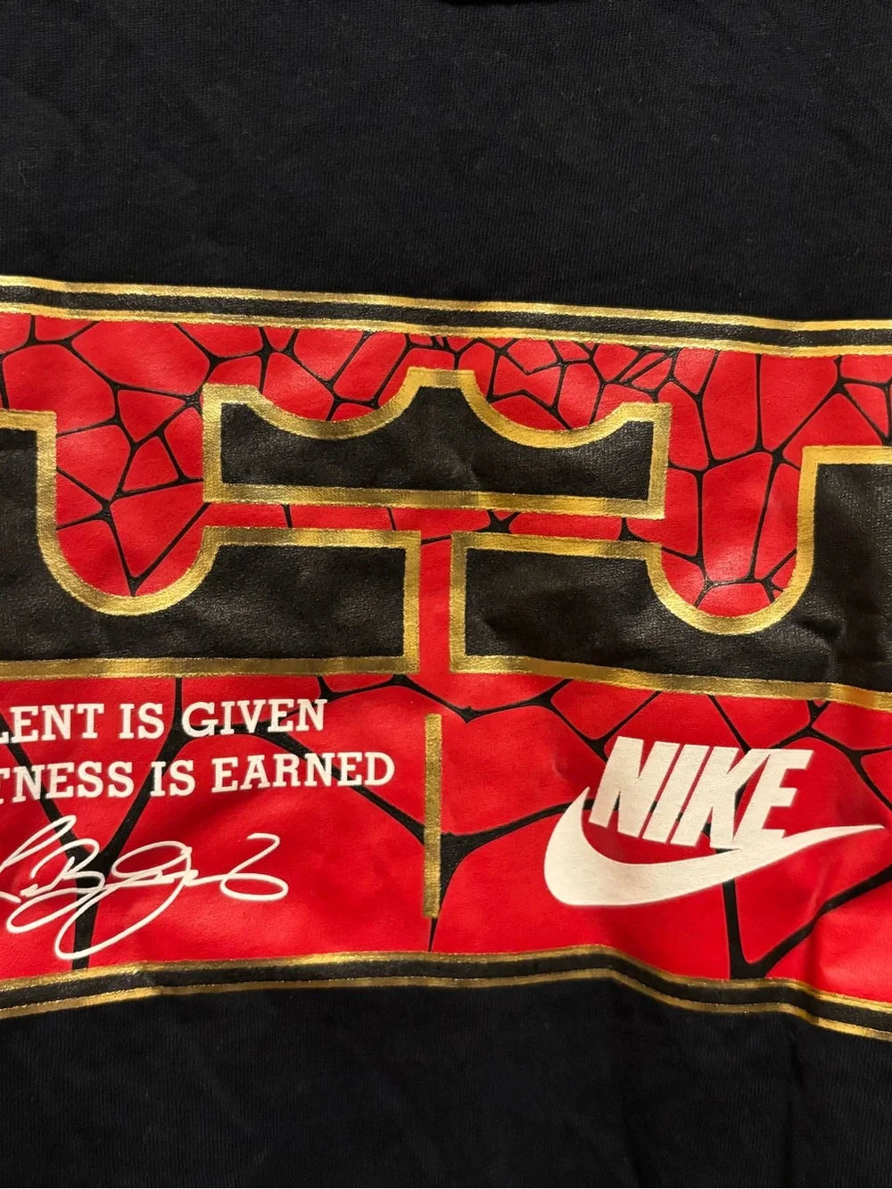 Vintage Nike LeBron graphic tee 2010s